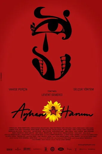 Ayhan Hanım (2014) posteri