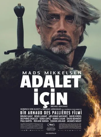 Adalet İçin (2013) posteri