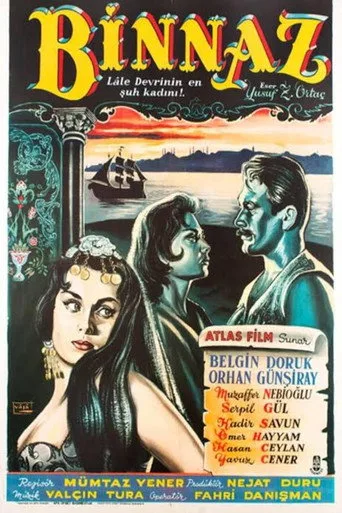 Binnaz (1959) posteri