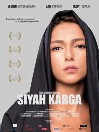 Siyah Karga (2016) posteri