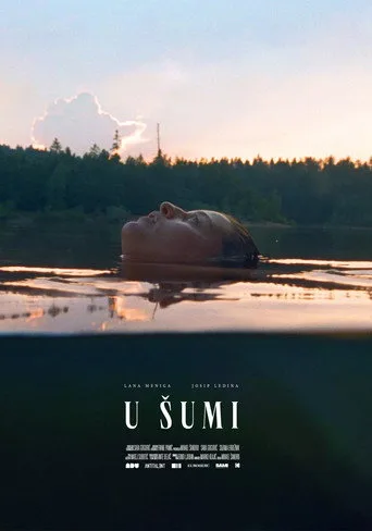 Ormanda (2020) posteri