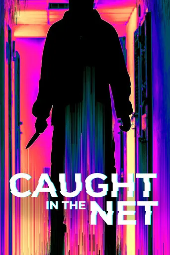 Caught in the Net 1. sezon posteri