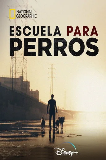 Escuela para perros (2019) posteri