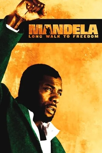 Mandela: Özgürlüğe Giden Uzun Yol (2013) posteri