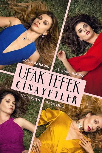 Ufak Tefek Cinayetler (2017) posteri