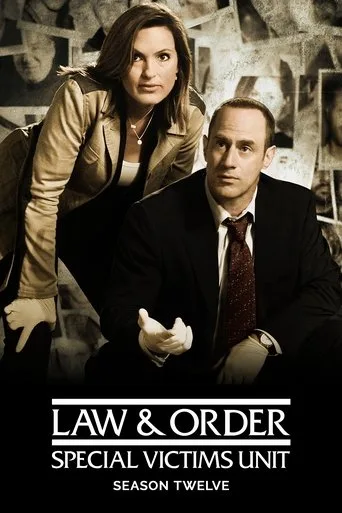 Law & Order: Special Victims Unit 12. sezon posteri