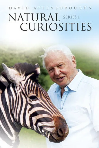 David Attenborough ile Sıradışı Canlılar 1. sezon posteri