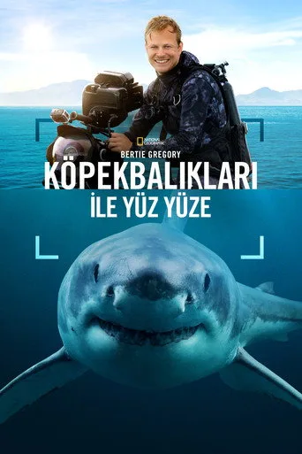 Bertie Gregory Köpekbalıkları ile Yüz Yüze (2025) posteri