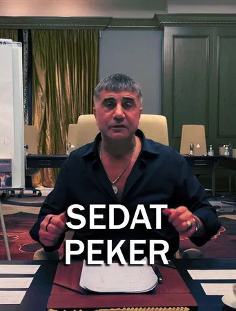 Sedat Peker vs AKP (2021) posteri