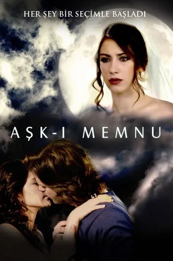 Aşk-ı Memnu 2. sezon posteri