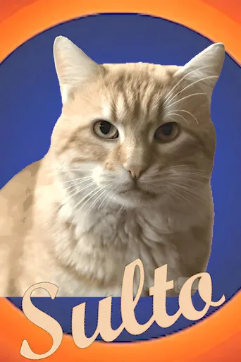 Sulto (2024) posteri