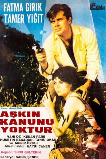 Aşkın Kanunu (1966) posteri