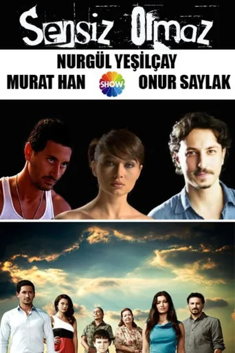Sensiz Olmaz (2011) posteri