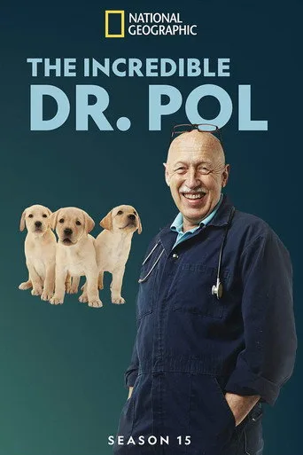 Yetenekli Doktor Pol 15. sezon posteri