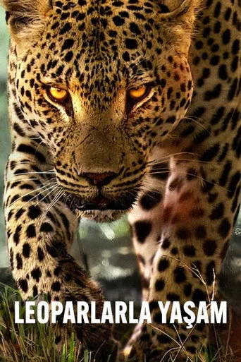 Leoparlarla Yaşam (2024) posteri