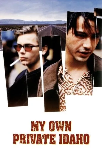 Benim Güzel Idaho'm (1991) posteri