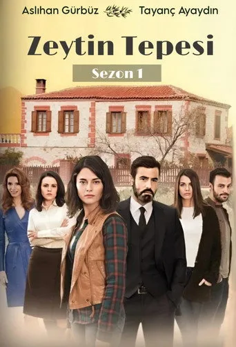 Zeytin Tepesi 1. sezon posteri