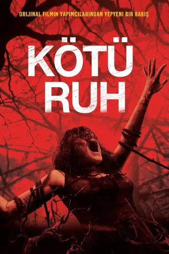 Kötü Ruh (2013) posteri