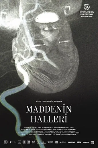 Maddenin Halleri (2020) posteri