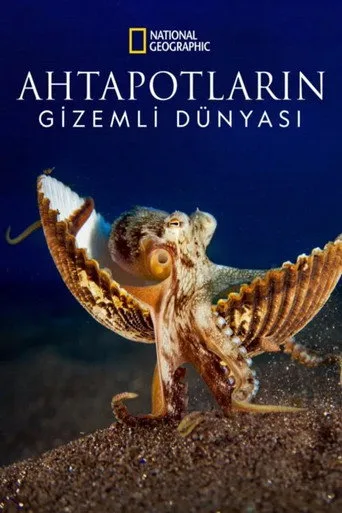 Ahtapotların Gizemli Dünyası (2024) posteri