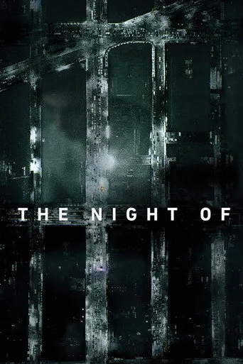 The Night Of (2016) posteri
