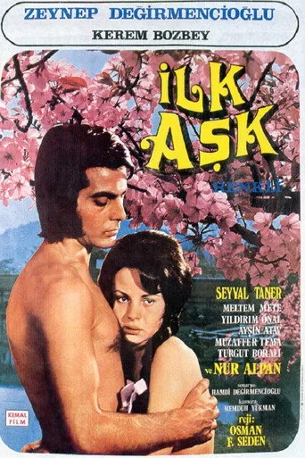 İlk Aşk (1972) posteri