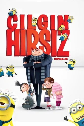 Çılgın Hırsız (2010) posteri