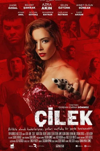 Çilek (2014) posteri