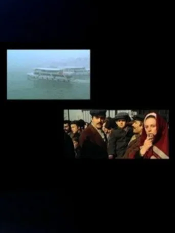 On Translation: Açık Radyo (Mitler ve Klişeler) (2010) posteri