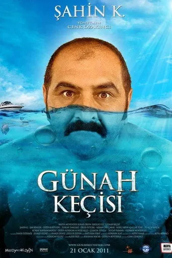 Günah Keçisi (2011) posteri