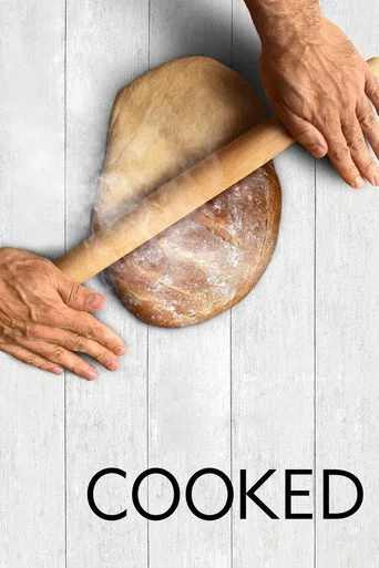 Cooked (2016) posteri