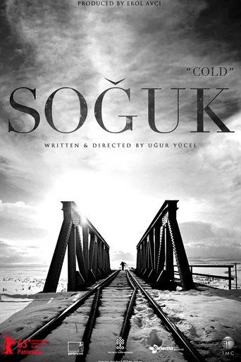Soğuk (2014) posteri