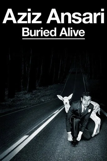 Aziz Ansari: Buried Alive (2013) posteri