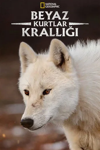 Beyaz Kurtlar Krallığı (2019) posteri