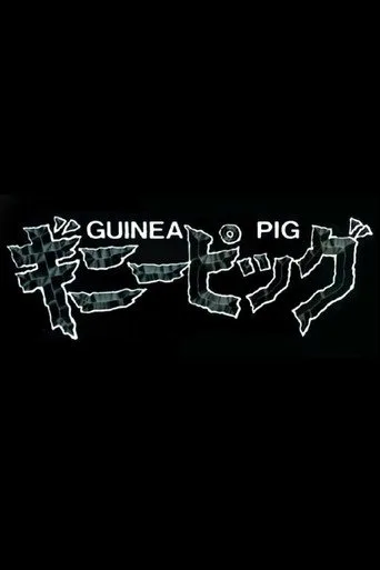 Guinea Pig serisi