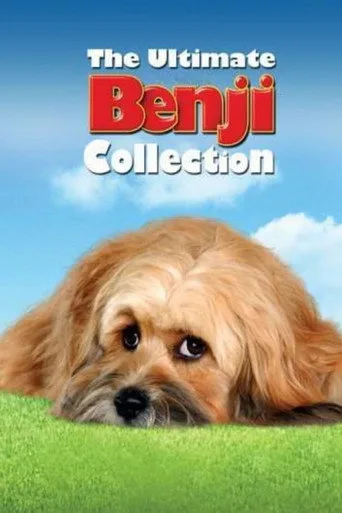 The Benji serisi