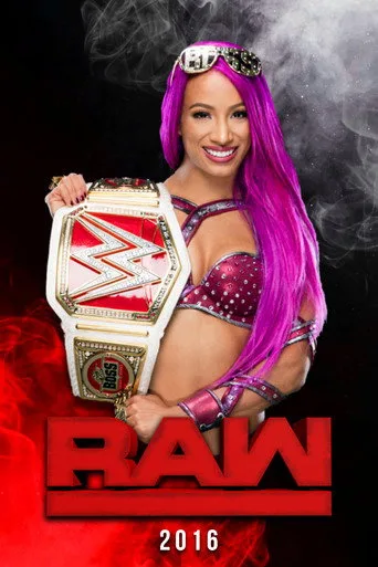 WWE Raw 24. sezon posteri