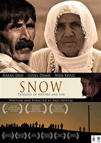 Kar (2010) posteri