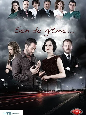 Sen de Gitme (2011) posteri