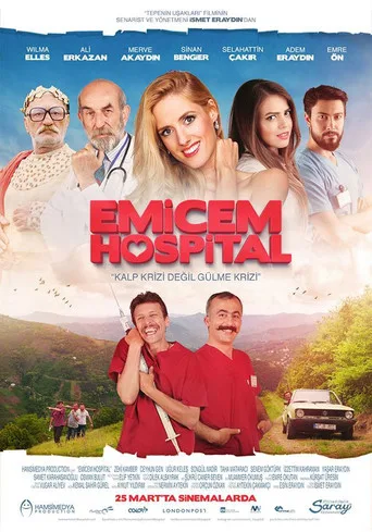 Emicem Hospital (2016) posteri