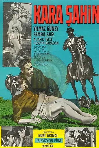 Kara Şahin (1964) posteri