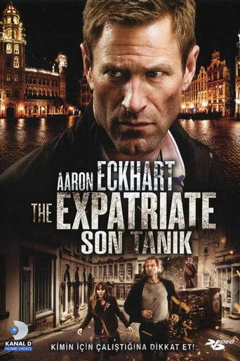 Son Tanık (2012) posteri