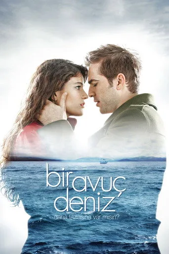 Bir Avuç Deniz (2011) posteri