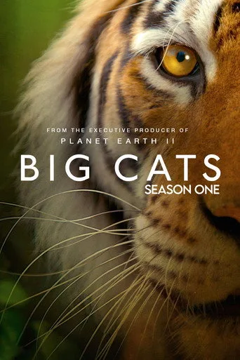 Big Cats 1. sezon posteri