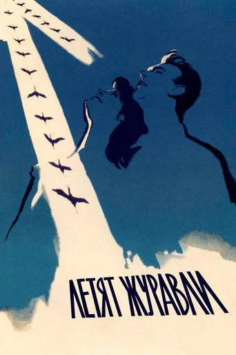 Leylekler Uçarken (1957) posteri