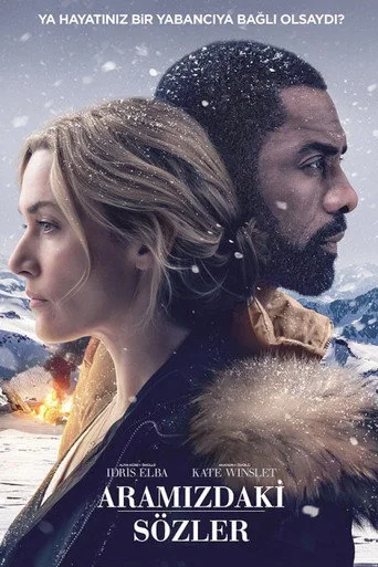 Aramızdaki Sözler (2017) posteri