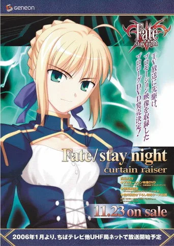 Fate/stay night 0. sezon posteri