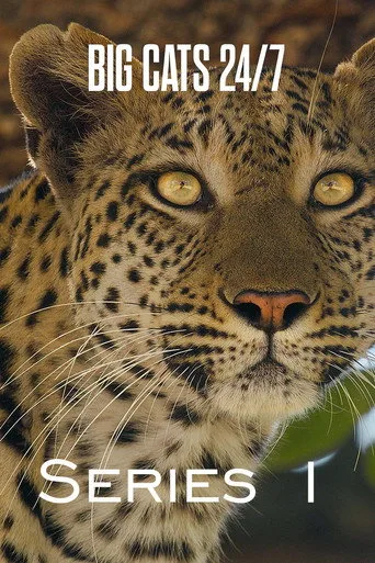 Big Cats 24/7 1. sezon posteri