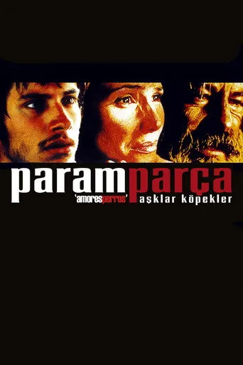 Paramparça Aşklar Köpekler (2000) posteri