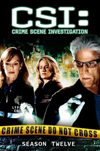 CSI: Crime Scene Investigation 12. sezon posteri
